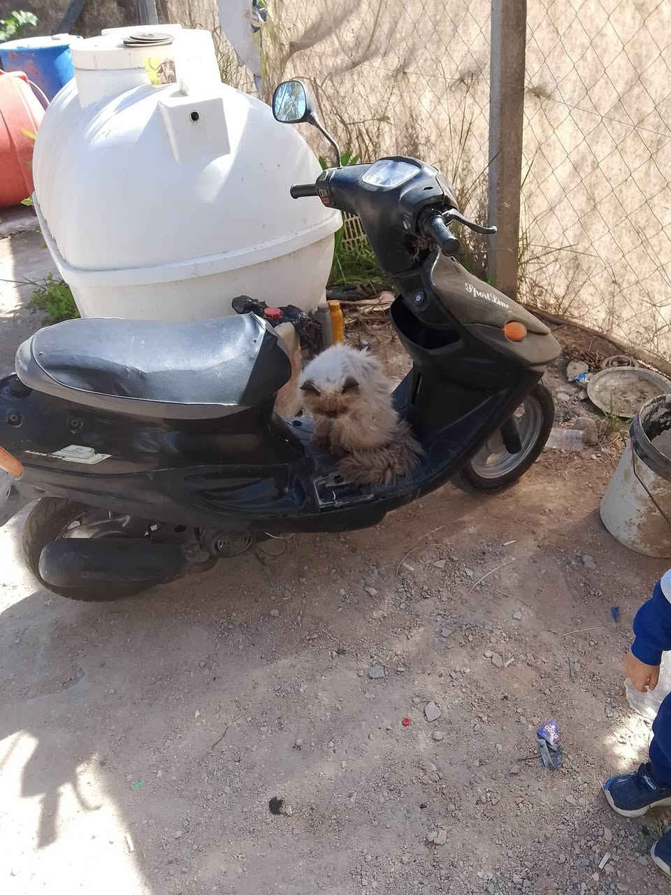 دراجه بيجي للبيع  شرط الفحص سعره 350 بيه مجال


**إذا كنت صاحب هذا الإعلان وتريد حذفه لأي سبب، رجاءا أرسل رسالة إلى الدعم الفني**