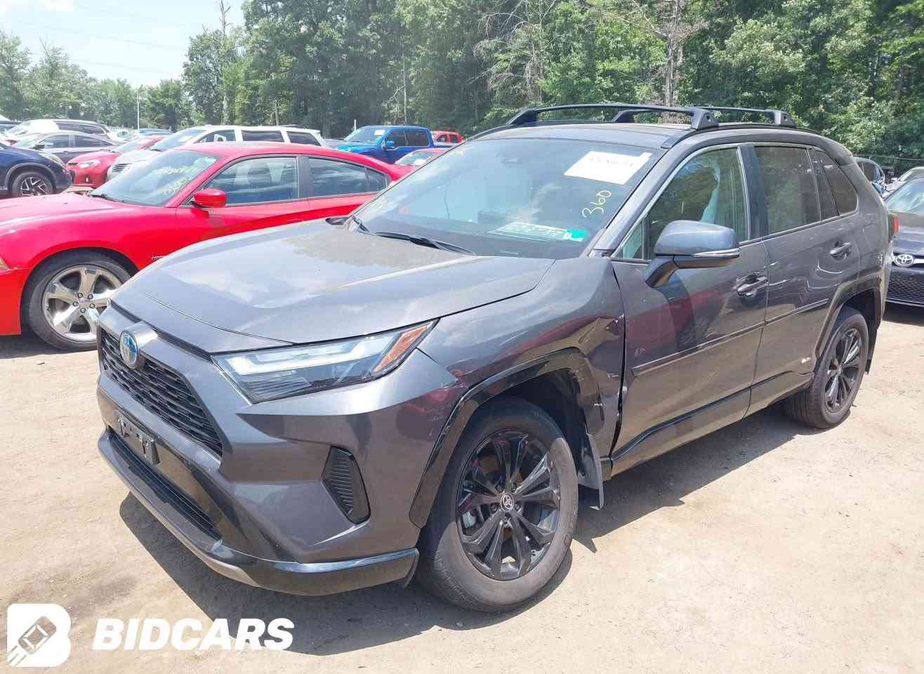 السلام عليكم 
رافور 2024 هايبرد 
الفئة SE
اللون فيراني
ضررها فقط الجاملغ الامامي الايسر راجع عل بارد قطرة صبغ ما بيها شرط مكفولة من الدعامية للدعامية 
تترقم بأسم المشتري مباشر
للاستفسار اكثر الاتصال على الرقم ***********
او على الواتس اب
مكان السيارة بغداد
