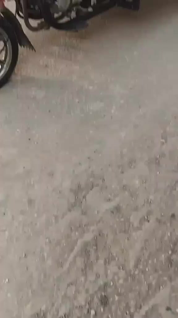 سلام عليكم ستوته البيع موديل 2021مامفتوحه /سنويه ***********
