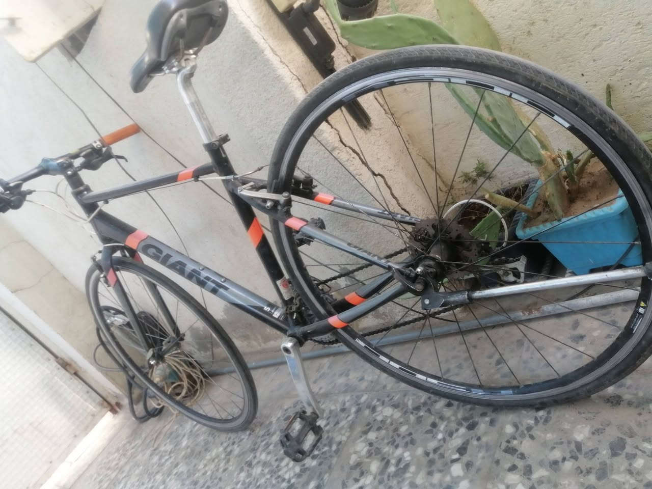 جاينت c700
حديث خليط المنيوم كاربون
دراجه خفيفه وزن كله شغاله سستم شيمانو
200 الف
مكاني بغداد


**إذا كنت صاحب هذا الإعلان وتريد حذفه لأي سبب، رجاءا أرسل رسالة إلى الدعم الفني**