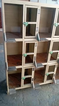 يا الله 07859839107