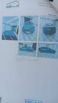 النترا ٢٠١٨ • وارد كندي • رقم اربيل