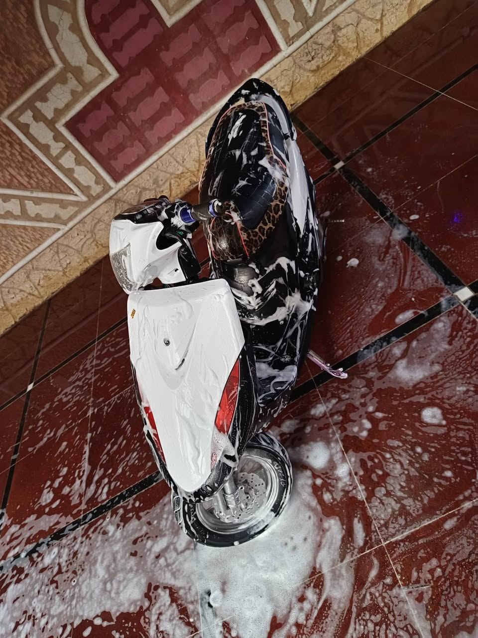 ماكس عدله بوشه 49 بلاد ما مفتوح كزوز FM سوادات كفرات كله مختمه رايده ب600 مكان البهادريه ***********
