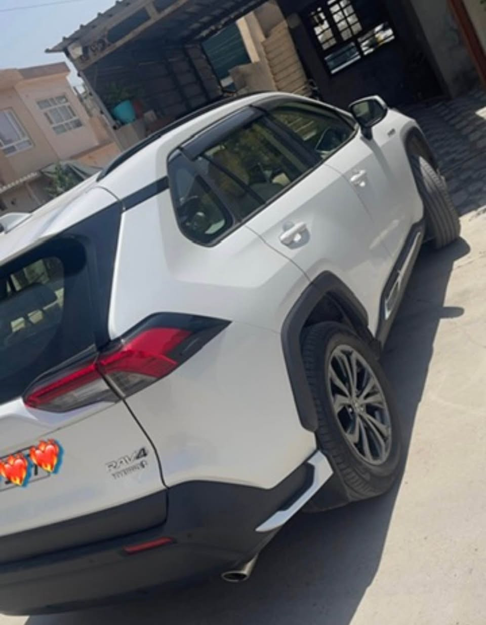 فول سازياباني هايبريت *********** كركوك, العراق
