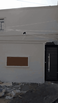 *********** ☎️ #اسعارمناسبه نشتغل محافظات
طلس واجهات بلماده +اطارات #فوم كافة انواع التطعيم مع الاصباغ طلس ساده او تقطيع حسب الطلب
وتساب https://wa.me/c/9647751848159
او مراسله الصفحه
