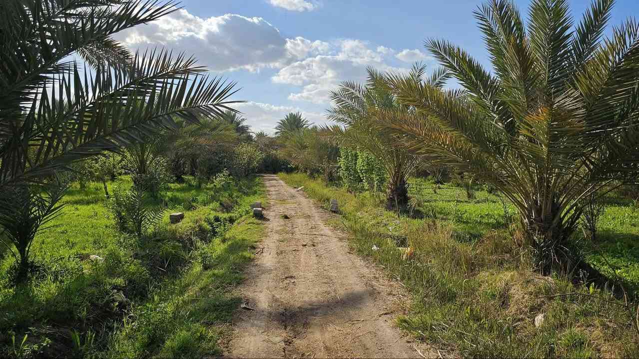 أجمل مزرعة في كربلاء 💯
✅ثلاث ️دوانم للبيع واجهه 33 م
مع 2 بيوت مساحة كل بيت 
200 م بناء طابوق جمهوري 

✅متوفرة كافة الخدمات 
تبليط، ماء، كهرباء، مدارس 
طابو سند 25 تحويل بالطابو

✅️الموقع كربلاء - شارع الإبراهيمية 
طريق الشهداء ( منطقة عناز )
تبعد من مركز مدينة كربلاء 15 كيلو 

💰السعر الكلي للأرض// 700 مليون 

📞 أتصل الآن ‪‏‪‏‪***********‬‏ عقاري كربلاء
