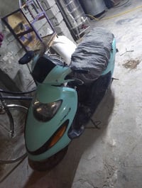 دولفين • حمزه الغربي • قرب تل عوفي