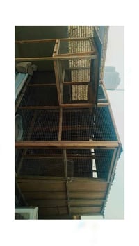 قفص طيور • ٣×٣×٢م • ناصرية