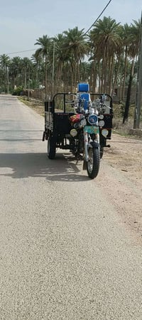 ستوته • ٢٠١٩ • نجف