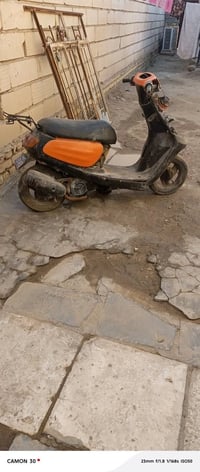 منغولي • شغاله • كفر قدام موجود