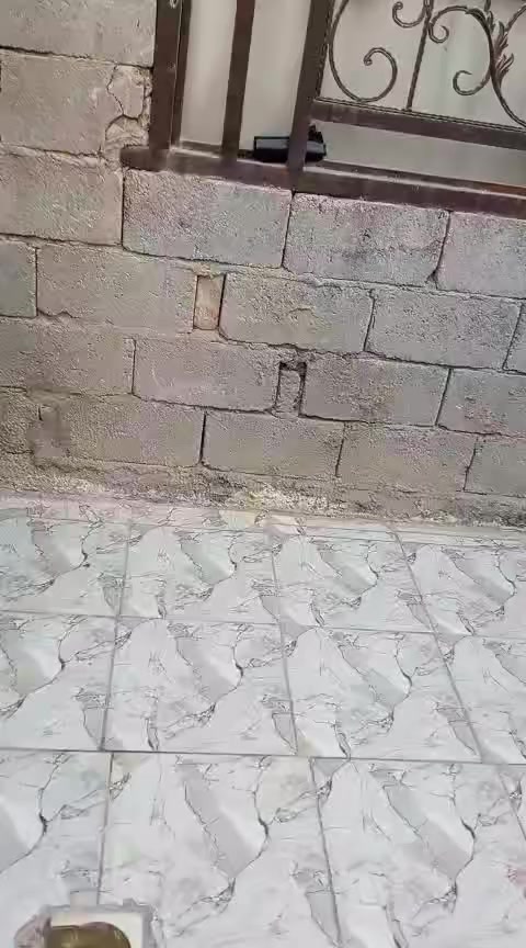 سلام عليكم بيت للبيع عل حولي ابو 100 يحتوي عله غرفتين وستقبال وصاله وصحيات داخليه وخارجيخ مساحه 100 متر الاستفسار اتصل ***********
