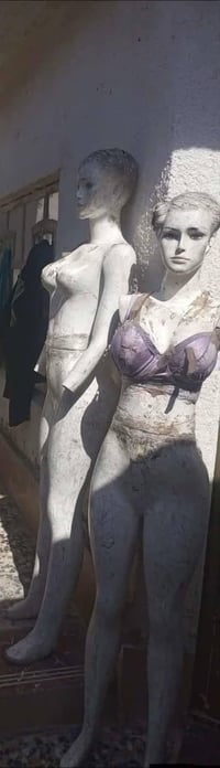 بغداد الشعب • سعر مناسب • للبيع