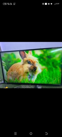 شاشات • ٤٣ بوصة • ابو غريب