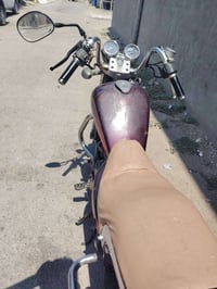 هارلي ٢ ولف • ٣٥٠ • مجفتة