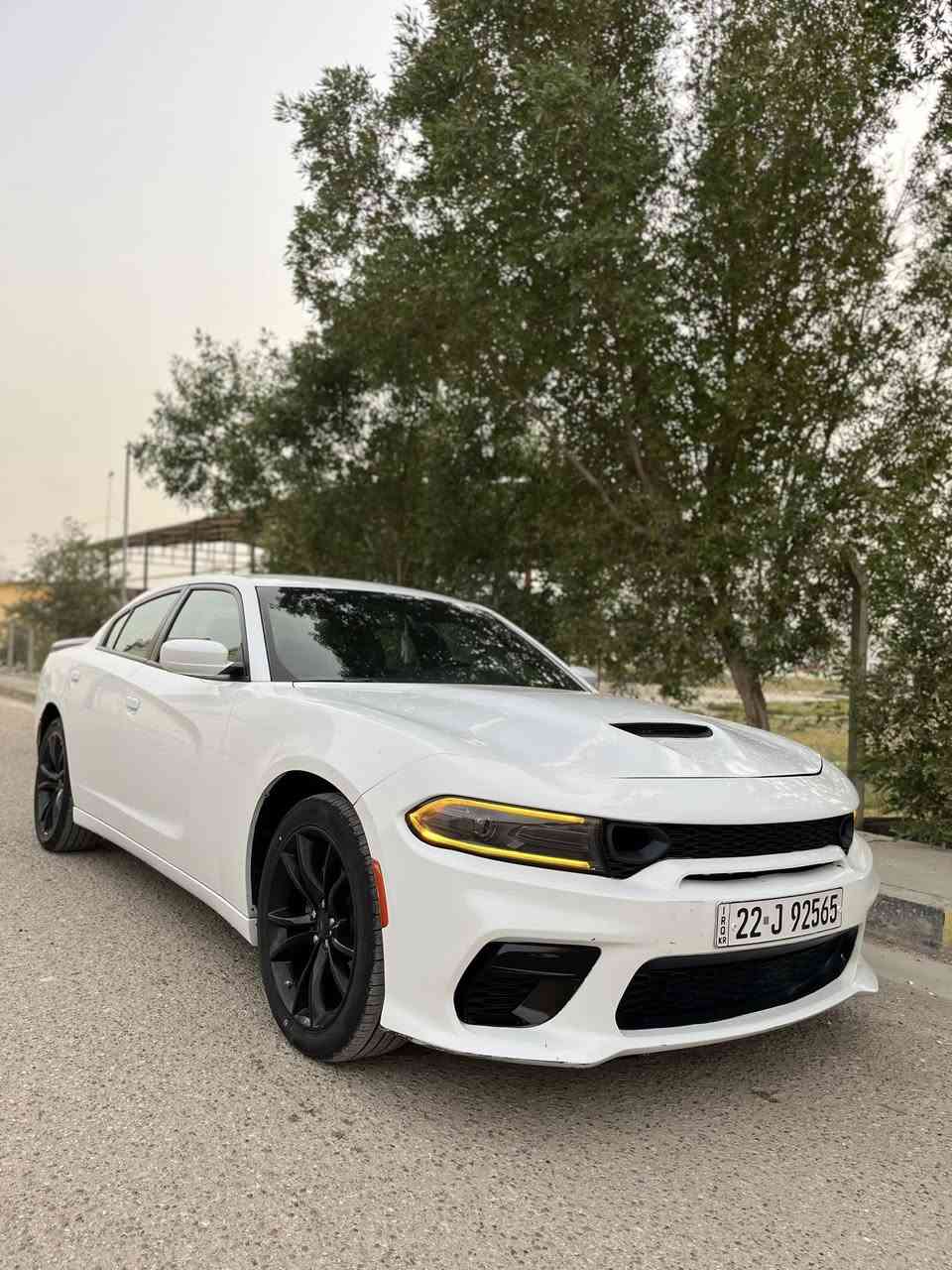 السلام عليكم
دودج جارجر 2022 sxt للبيع
رقم اربيل الجديد تحويل او وكالة 
ماشية بامريكا 30 وحالياً 42 السيارة جديدة 
حادث السيارة جاملغ وبنيد وجاملغ الثاني صبغ بدون شواصي وصور الحادث مع السونار بالمنشور

العنوان بغداد السيدية
السعر 22,500$  

*********** علي
