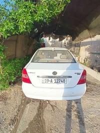 ليفان 213 • مكفولة صبغ • تحويل باسم