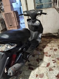 سكنس فحل • نضيفه • مكفوله
