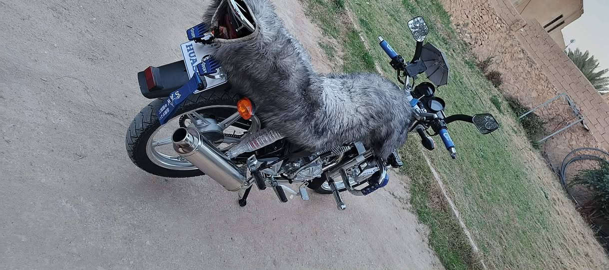 السلام عليكم دراجه هيوشو موديل 25 للبيع وصلت 1,050 عندك زود حياك الله سويتشات بصمات كلها كامله وشغاله نظافتها خير من الله *********** هذا رقم صاحبها
