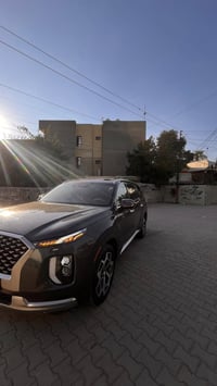 كلكرافي • ٢٠٢٢ • ٨٢الف