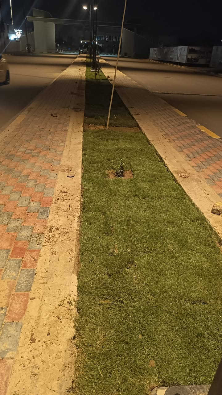 باسعار ثيل ديالى الطبيعي 🏡
أهلاً بكم في مجموعه مزارع ديالى لثيل الهندي الطبيعي 🌿🌱
 نقدم لكم افضل انوع الثيل الطبيعي عالي الجوده يتحمل كافه الضروف البيئية.🌦️🌞
دائم الخضرة🌿🌳 وباسعار تنافسيه ☘️❤️
#مستعدون لتجهيز وفرش الحدائق🏡 ودوائر الدولة🏡والمنازل🏡🏡
و تجهيز الملاعب🏟️ والمنتزهات الجودة العالية في العمل👷👷

مع خدمة التوصيل خلال24ساعه🚛🚛
الاسعار 💵💸 تختلف حسب الكمية 
للاستفسار الاتصال على : 
او التواصل مع الصفحه او اتصال علئ رقم  عن طريق ارسال رسالة على الوتساب ‏‪***********
