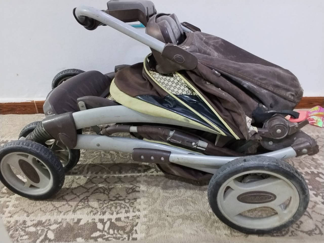 جراكو الاصليه للبيع


**إذا كنت صاحب هذا الإعلان وتريد حذفه لأي سبب، رجاءا أرسل رسالة إلى الدعم الفني**
