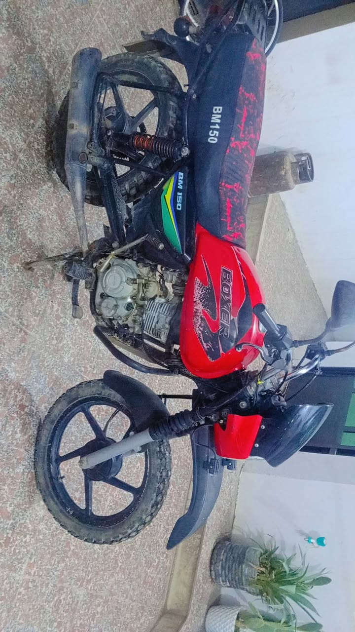 السلام عليكم دراجه بوكسر جبلي شغاله كله وضع شركه مابي شي نكره سلف كهربائية  كله شغاله العنوان سامراء  السعر 550بي شويه مجال مو جثير حلوه تخبل دراجه نشاط رهيب  اوراق كامله 
‪‪0772 891 9213
مراوس ايراني وتنطي فرق عادي
