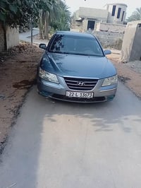 سوناته 10 • وارد أمريكي • النجف