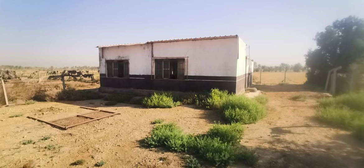 🌏 قطعة أرض زراعية للبيع بمساحة اثنين ونص دونم في النجف - الحيرة، شارع معمل الغاز (منطقة المراشدة).

* الواجهة: 35 متر.
* النوع: طابو زراعي (سند 25 إقرار محكمة من صاحب الأرض مباشرة).
* المشتملات: تحتوي على بيت استراحة (3 غرف).
* الخدمات: كافة الخدمات متوفرة ( ماء + كهرباء ).
* السعر: 65 .

📞 للتواصل والاستفسار عبر الواتساب مباشرة:
اضغط على الرقم أو راسلنا: *********** النجف, العراق
