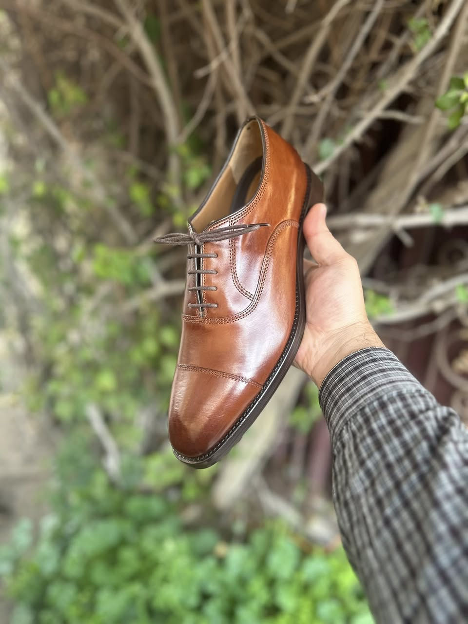 اكسفورد قياس 42
***********
