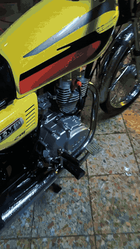 دراجة 2023 • أوراق أصلية • شطرة