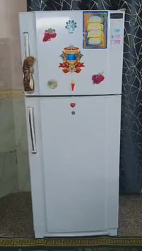 كونكورد لبنانية • ٢٤ قدم • فريز خارجي