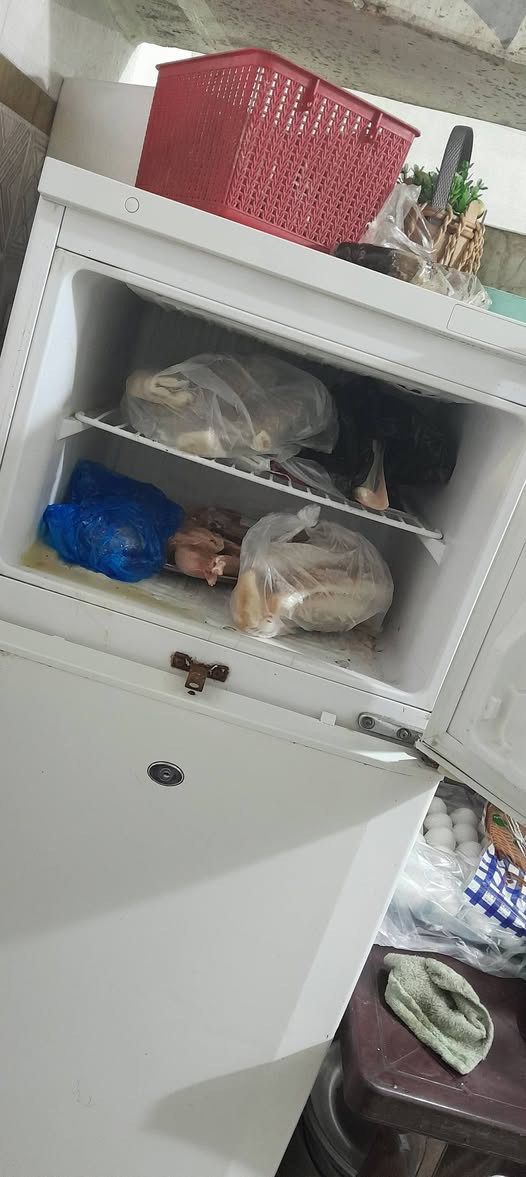 للبيع ثلاجة مستعملة نظيفة السعر ١٥٠ ألف بيها مجال مكاني حرية شارع الدور


**إذا كنت صاحب هذا الإعلان وتريد حذفه لأي سبب، رجاءا أرسل رسالة إلى الدعم الفني**