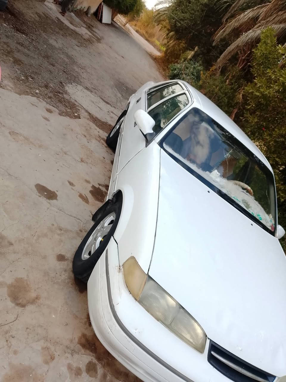 عليكم سياره برنس فراشه موديل 96مكفوله صدر أمام خلفي تخم تاير دواخل جديده بطاين جدد سياره جاهزه من صبغ ومعجون رقم *********** ابو حسين
