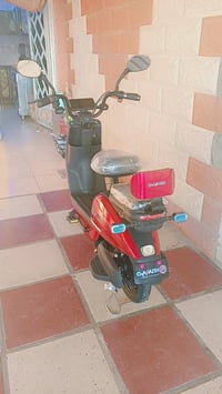 باسكي شحن • شاشه كبيره • ثلاث نمر