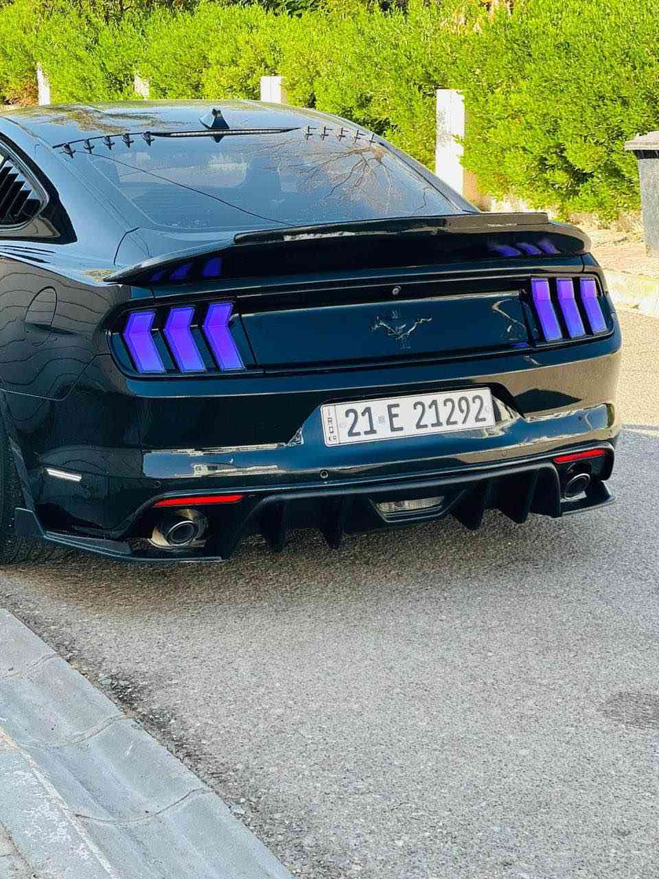 رقم صاحب سياره ( *********** )
فورد موستنك Ford Mustang
الموديل: [2016 ]
المحرك: [V6 / 3.7] *
* الكير: [ أوتوماتيك ]
الممشى: [ 78 الف ميل ]
الون : [ آسود ]
الحالة: [ سياره حزام ]
كير مكينه بشرط مكفوله
سنويه جديده لحد ٢٠٢٨ سياره بأسمي كوبون بنزين موجود

[   الأضـــــافـات   ]
-بك لايت شكل ٢٠٢٤
-دفيوزر هنيسي
-دعاميه شيلبي GT500
-لحيه شيلبي GT500
*** سقف روز رايز ***
-دوسات هنيسي
-دواخل كاربون
-سكوب جاملغ 

المواصفات ]

   - تشغيل عن بعد
-   شاشة كبيرة + كاربلي + كاميرا
-   نقطة عمياء + حساسات خلفية
- ٣ مودات تحكم ستيرن
-   شعار الموستنك ضوئي متغير ب دوسات بلادي سعر ١٤٣
-  هاتف *********** أربيل, العراق
