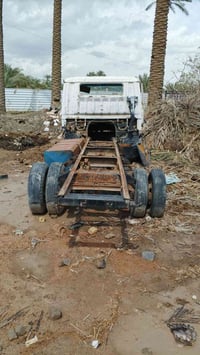 رقم حمل • ذي قار • نجف