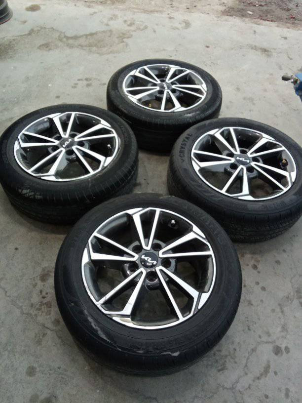 تخم ويل كب فورتي سيراتو أصلي شركة العنوان بغداد الشعلة ***********
***********
