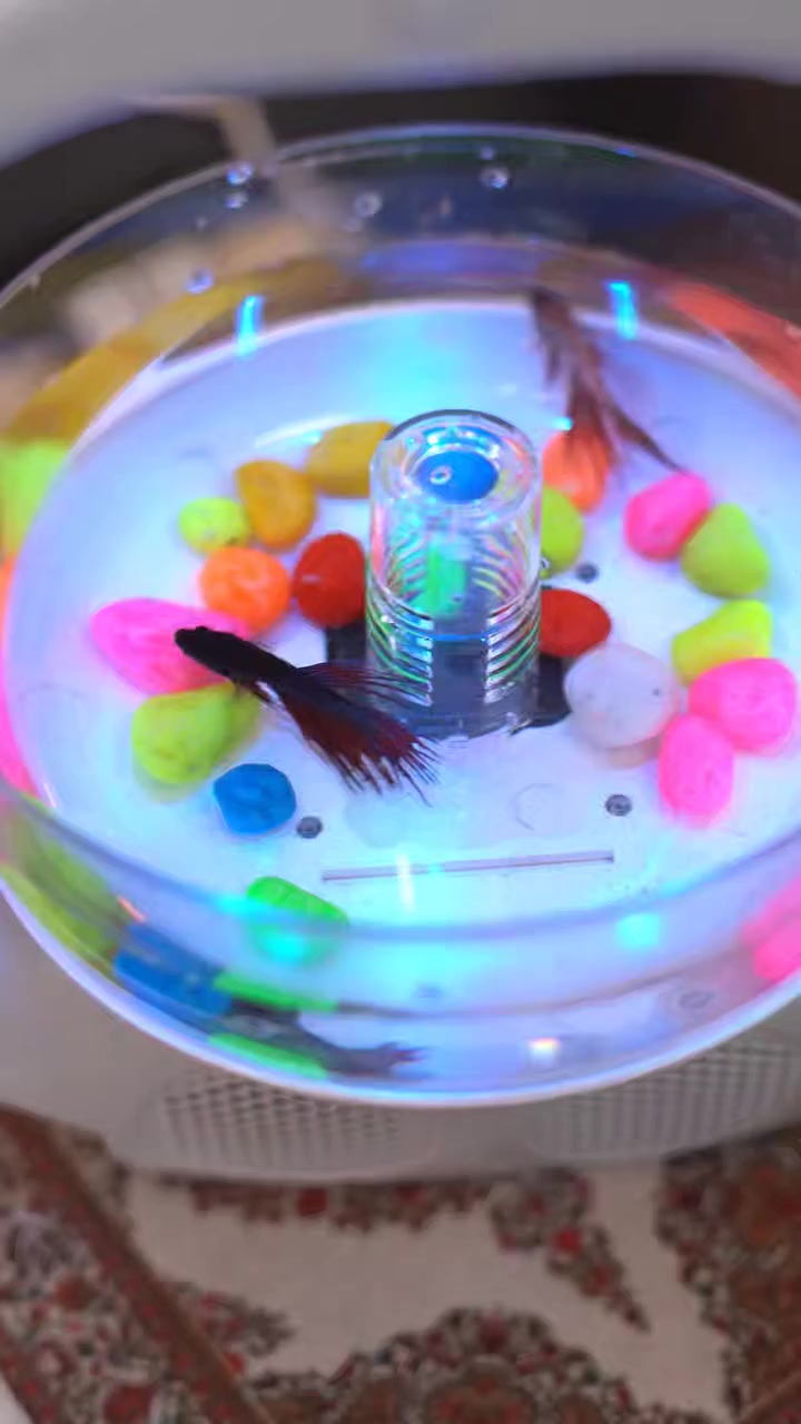 ضمان اذا مو نفس صورة لاتاخدة✅
اسعار بالصور و تحت صور🌹جديد كله
للكل طلب هديه🎊
توصيل 3 للكل عراق❤️
العنوان بغداد


**إذا كنت صاحب هذا الإعلان وتريد حذفه لأي سبب، رجاءا أرسل رسالة إلى الدعم الفني**