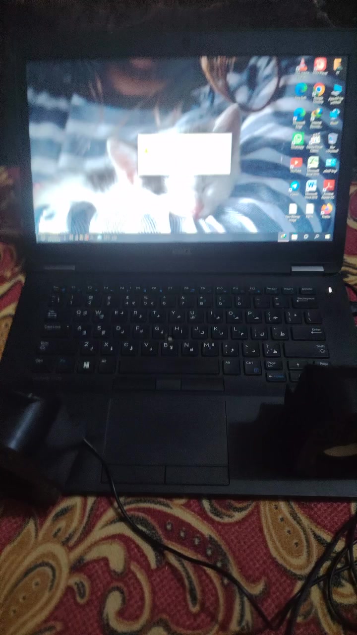 سلام عليكم لابتوب دل جيل 8روعه وعل فحص وياهى شاحنه وماوس ودمام وجنطه حاسبه عل فحص سعر 300 واني خادم 🥰


**إذا كنت صاحب هذا الإعلان وتريد حذفه لأي سبب، رجاءا أرسل رسالة إلى الدعم الفني**