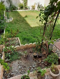 كربلاء طويريج • طابو زراعي • بناء 140م