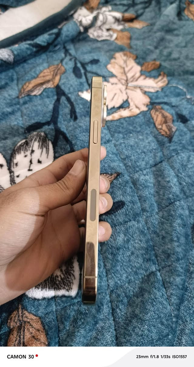 للبيع آيفون 13 برو ماكس(أمريكي)
لون ذهبي مميز

مبدل شاشة أصلية  3 خيارات 

بطارية 90% بلادي

الجهاز نظيف كلش استعمل شخصي

للاستفسار 

اتصل على الرقم /***********
