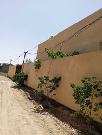منطقة الحر السوادة • ٥٠٠م • بيت بستنة