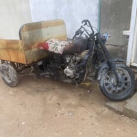 ستوته • شاصي كفاله • مديل ١٢