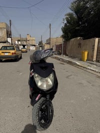 سكنس للبيع أو مراوس بدون نطايح فحل ياباني نوزل خطين قبق نفخ ستان حساس ...