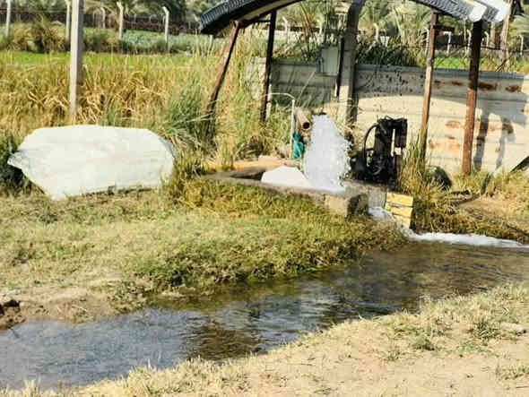 السلام عليكم  
قطعة ارض 4 دونم مع بيوت عدد 2 للبيع 
الواقعه في الحيدري بيت سعد البعيجي 
قرب ثانوية الحيدري المختلطة
الارض عقد 125 مساحة 4 دونم
الارض تحتوي علئ 
بيوت عدد 2
حديقة كبيره واجهة البيتين
سياج سيم BRC محيط القطعة
موطور هندي فلاوين 
موطور كهربائي ابو ال 3
مولد فلاوينين 16 احصان راس توليد سنكل 40A
الشارع قشط تبليط
و باقي التفاصيل موضحة في الصور من اشجار و نخيل التربة خير من الله حلوه 
للاستفسار عن السعر او اي تفاصيل اخرى الاتصال 
***********
***********
