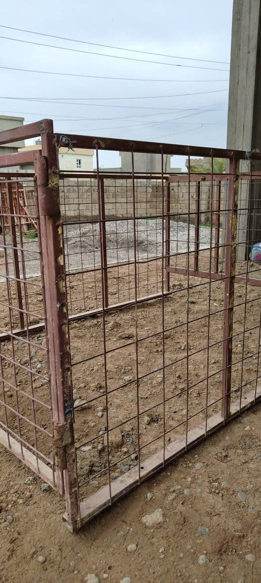 سلام عليكم محجل ستوتا للبيع السعر 75  العنوان موصل كيارة الجدعه ستفسار اكثر تصال ***********
