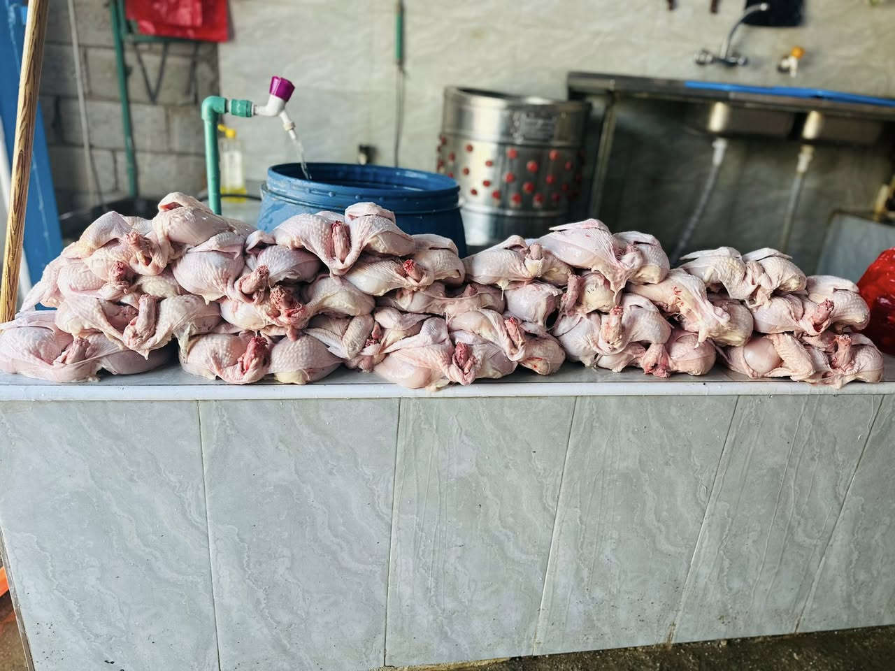 الهم صلي على محمد وآل محمد اخوان الدجاج اليوم سعر الكيلو 2750 الوزن من كيلو ونص لل3كيلو وبسعر مناسب مع التنضيف والفتح والعنوان سنيه بين الجسرين جاي من نزلت الساده ال رحمان بل سايد الي رايح الدوانيه بإدارة قاسم عامر هذا الرقم ***********
