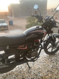 شانك • ٢٠٢٣ • جديدة