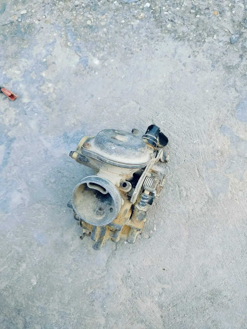 السلام عليكم
شباب عندي ذني كابريته مال ماكس شرط نضافه ع الفحص 
والثاني مال فراشه هم شرط ع فحص ومال حاويه السعر خاص او الاتصال ع الرقم
***********

