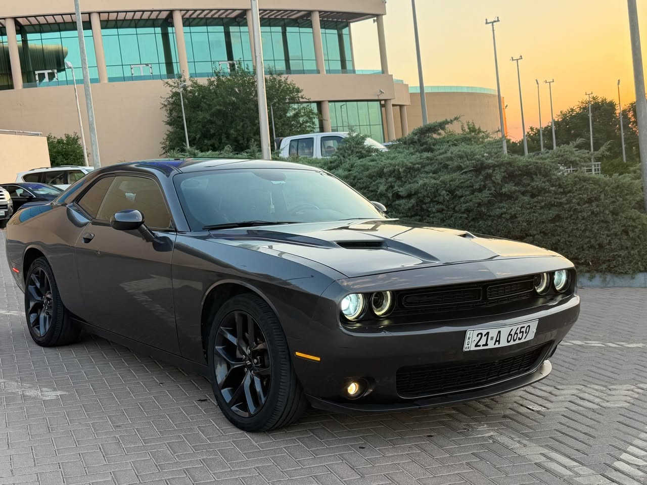 dodge challenger 2019 yak chamalaxi boyaxa be naw grtn da3amyakanishi boyax nya 59 mile roshtwa gerw makinay ba shart  bay 186 السليمانية, العراق


**إذا كنت صاحب هذا الإعلان وتريد حذفه لأي سبب، رجاءا أرسل رسالة إلى الدعم الفني**